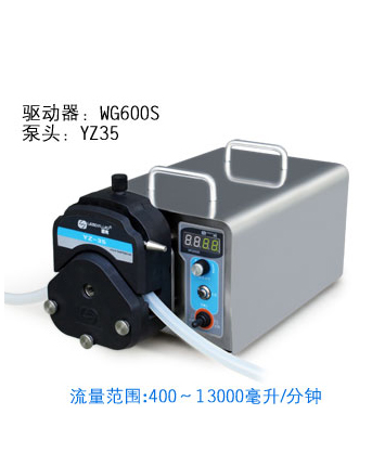 浙江WS-600G 蠕动泵